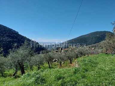 Terratetto unifamiliare 220 m², da ristrutturare, Calci