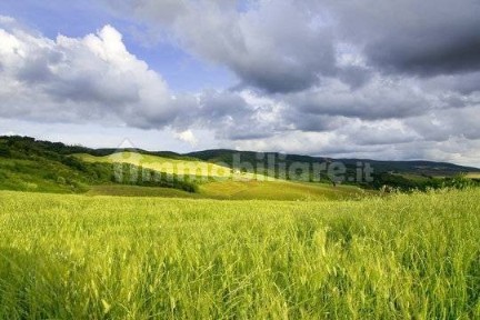 Terratetto unifamiliare via volterrana, Forcoli, Palaia