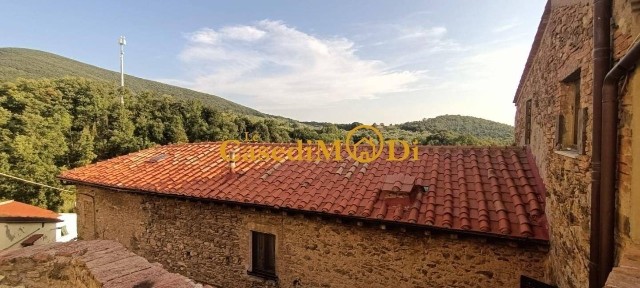 Terratetto unifamiliare 123 m², da ristrutturare, Centro, Santa Luce