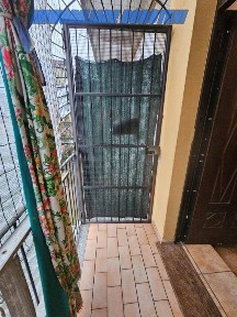 Vercelli, Corso Libertà