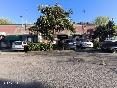 Locale commerciale in Affitto