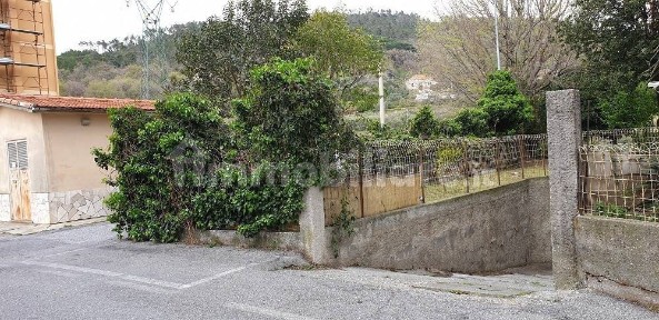 Savona