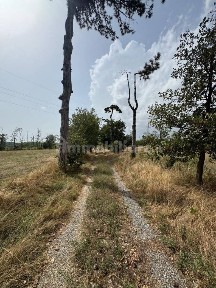 Novi Ligure, Strada Stradella