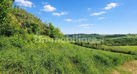 Casale Monferrato, Strada Rolasco, 130