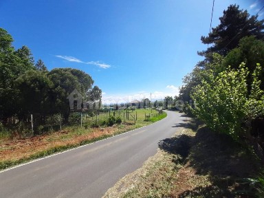 Rocca Grimalda, SP199