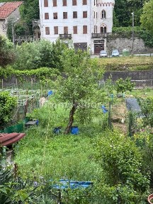Castelletto d'Orba, Via Generale Cortella