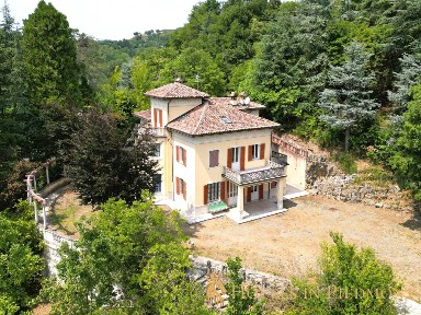 Terzo