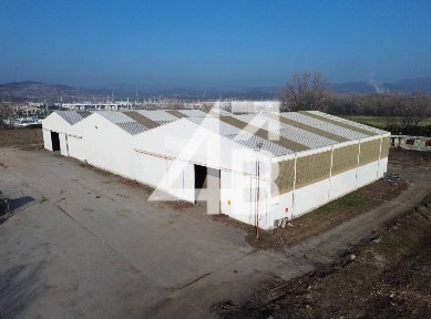 Magazzino - Deposito in Affitto