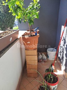 Appartamento ottimo stato, su più livelli, Vestina - Chiarini, Montesilvano