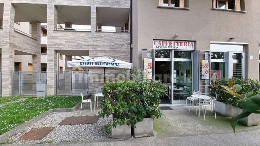 Brugherio, Viale Lombardia