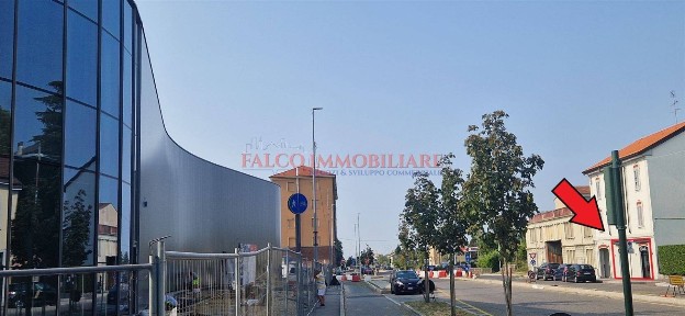 Monza, Triante, Viale Lombardia, 8