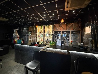 Bar in Affitto