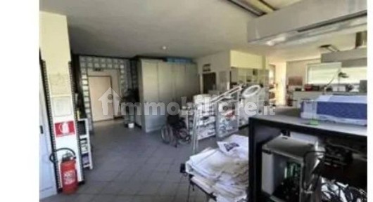 Laboratorio all'asta via Piane di Tesino 39, Grottammare
