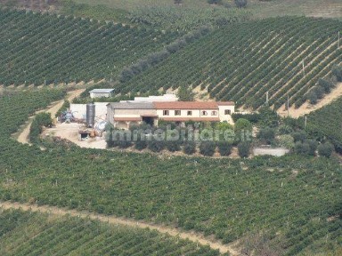 Azienda agricola in Vendita