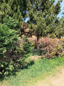 Rustico Località poggetto, Calendasco