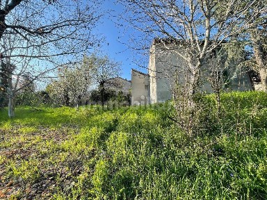 Rustico Località La Rocca, Vernasca