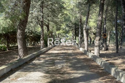 Appartamento viale Posta Milella snc, Montegrosso - Boschetto, Andria