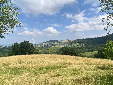 Ponte dell'Olio