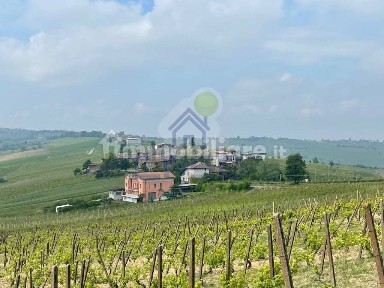Cascina Loc. Casa Morganti, Ziano Piacentino