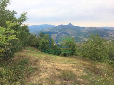 Rustico Località Spinello, Travo