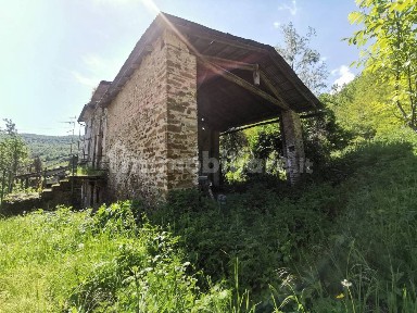 Bettola, Grilli