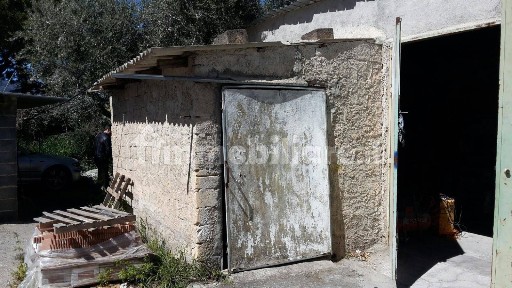 Pettineo