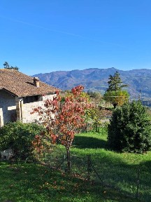 Bobbio, cogni