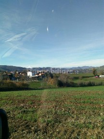 Ponte dell'Olio, LOC VIGNETO