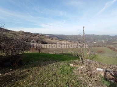 Vernasca, Strada Provinciale di Bardi