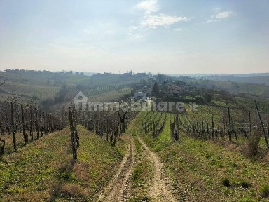 Ziano Piacentino, loc calcinara