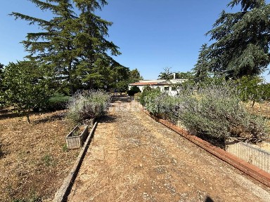 Villa unifamiliare Strada Provinciale di Cassano, Cassano delle Murge