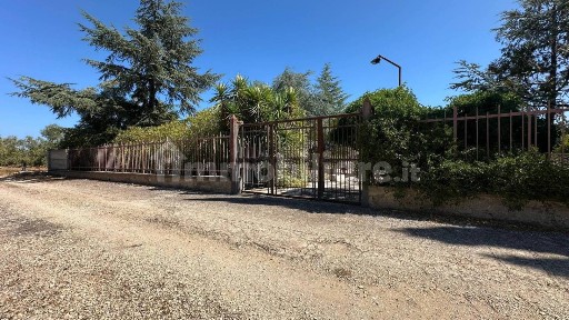 Terlizzi, Strada Comunale Macchia la Manna
