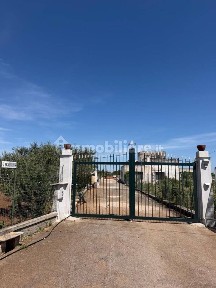 Gioia del Colle, Strada Vicinale delle Carrare