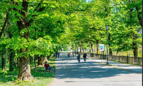 Parma, San Lazzaro, Via Giuditta Sidoli