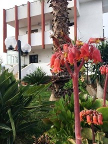 Villa unifamiliare via della Vela 95, Carbonara di Bari, Bari