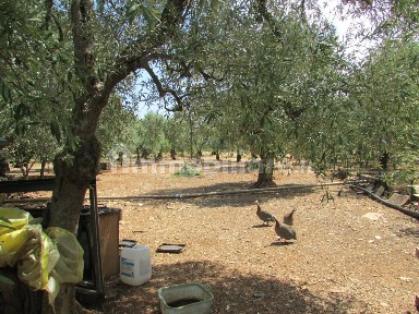 Villa unifamiliare Strada Comunale Esterna via Modugno, Sannicandro di Bari