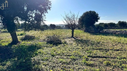 Villa unifamiliare Strada Comunale Rascazzo, Polignano a Mare