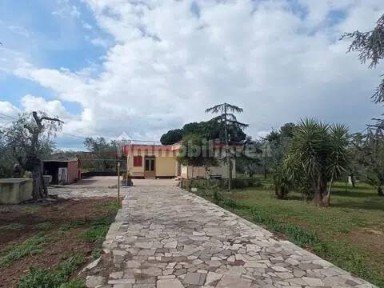 Molfetta, Provinciale Per Terlizzi No Number