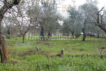 Corato, Via Torre Nuova