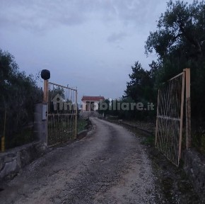 Corato, Strada Esterna San Vittore, 65