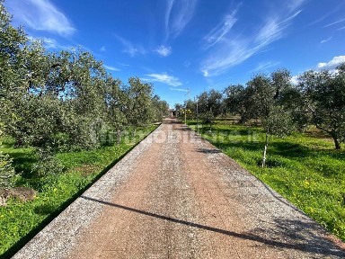 Villa unifamiliare 5350 m², Giovinazzo