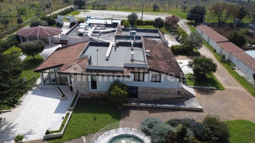 Turi