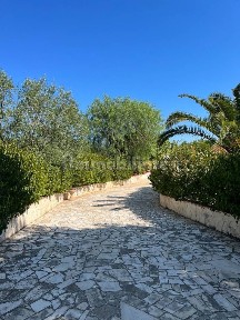 Giovinazzo