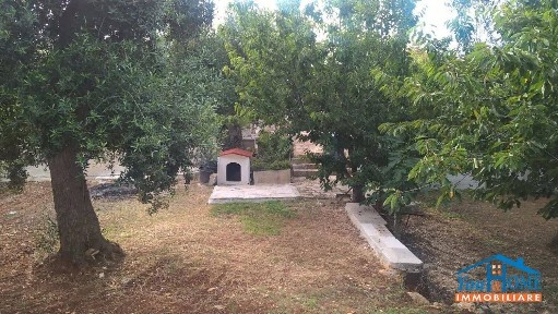 Villa unifamiliare, buono stato, 70 m², Castellana Grotte
