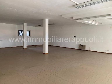 Attività commerciale in Affitto