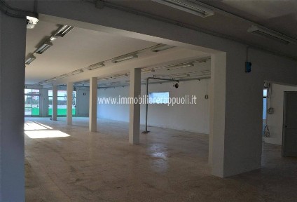 Attività commerciale in Affitto