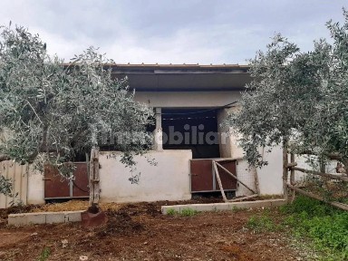 Capannone all'asta Canale Longu-Oroe, Orosei