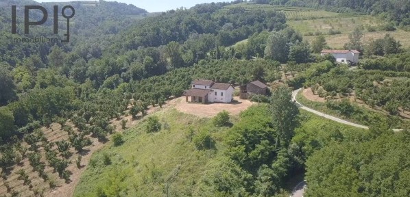 Rustico regione Bassi 108, Cassinasco