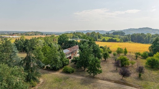 Casale Strada Pianetti, Tigliole