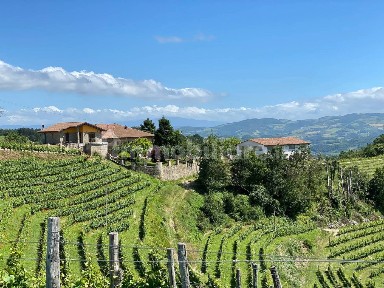 Cascina Strada Provinciale per Canelli 6, Loazzolo